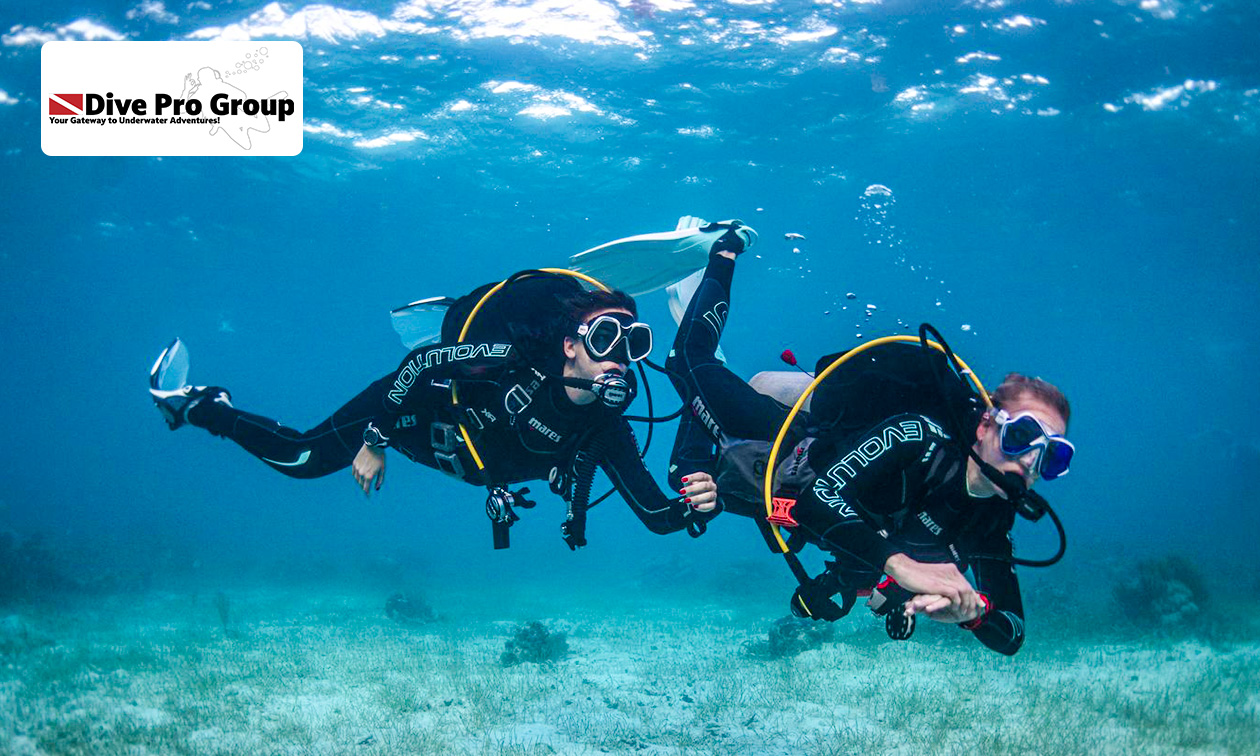 Dive Pro Group