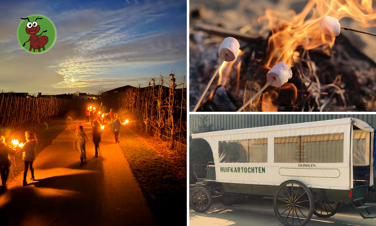 Hoeve op den Mierhoop