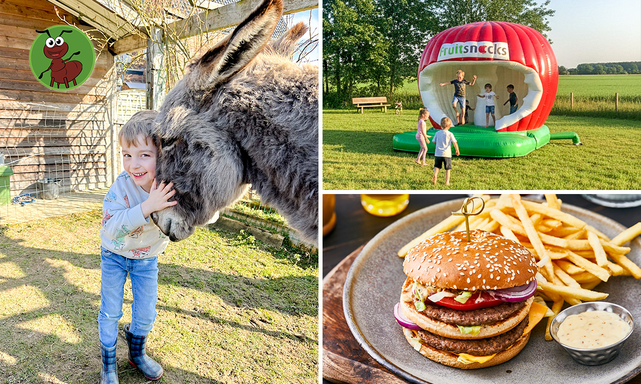 Hoeve op den Mierhoop