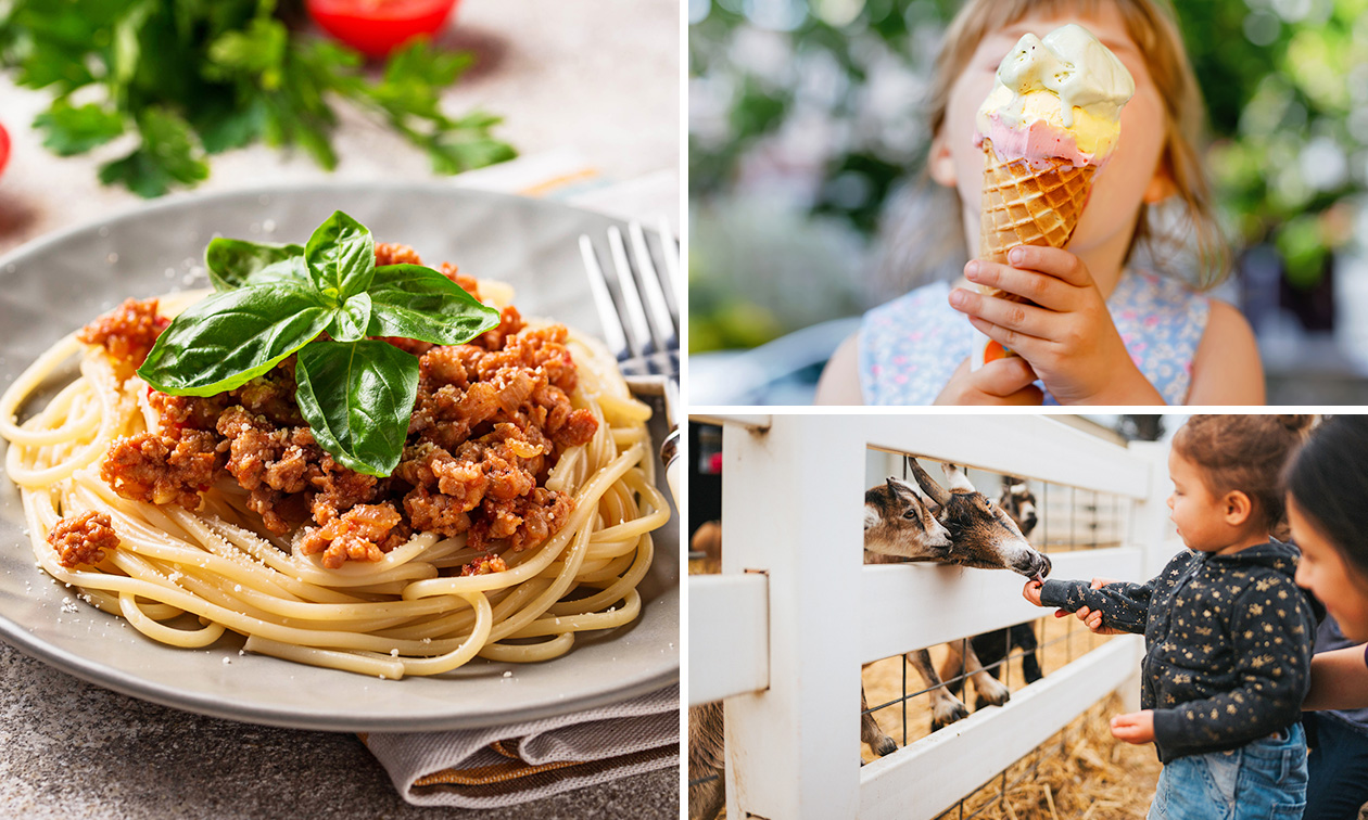 Kinderboerderij De Bollekeshoef