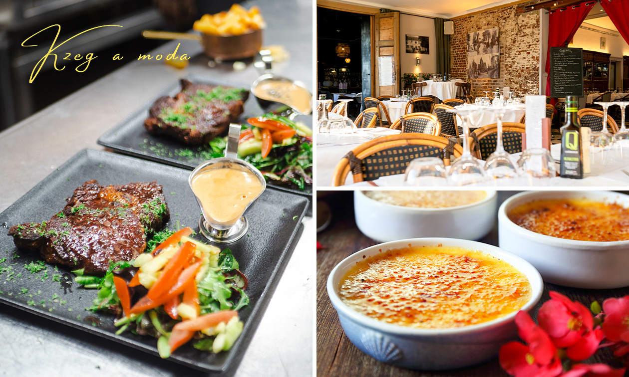 Kzeg a Moda - Olifant