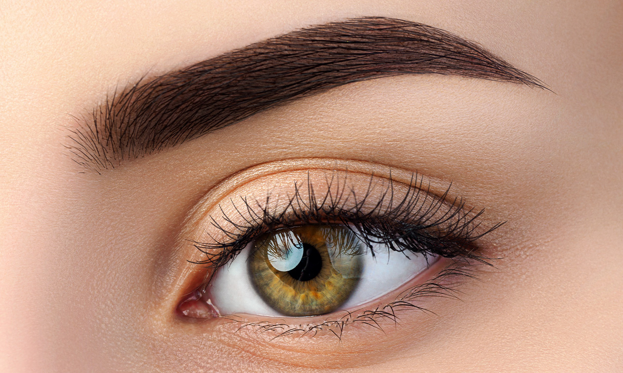 L'art du sourcil