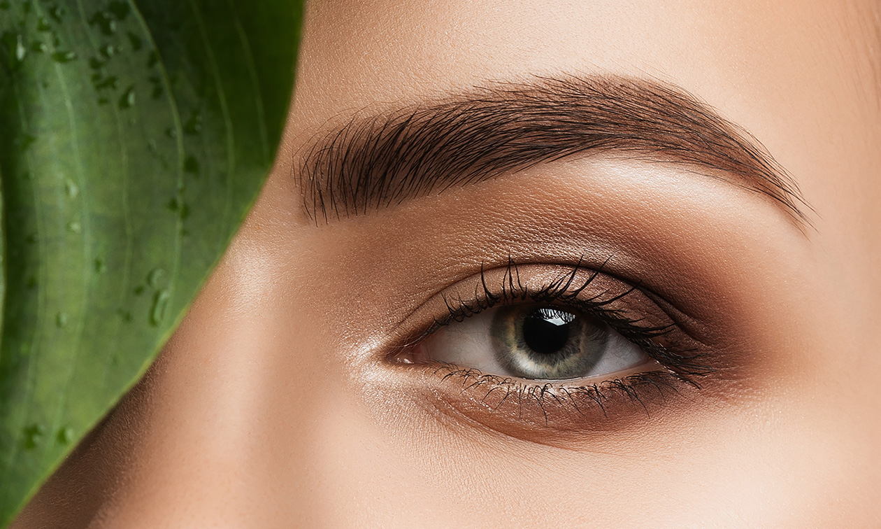 L'art du sourcil