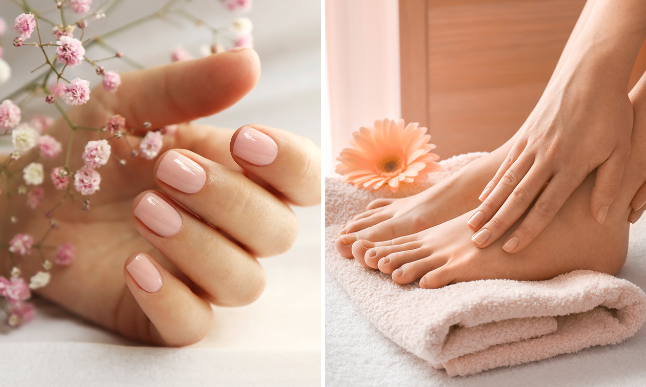 L'institut Flocéane