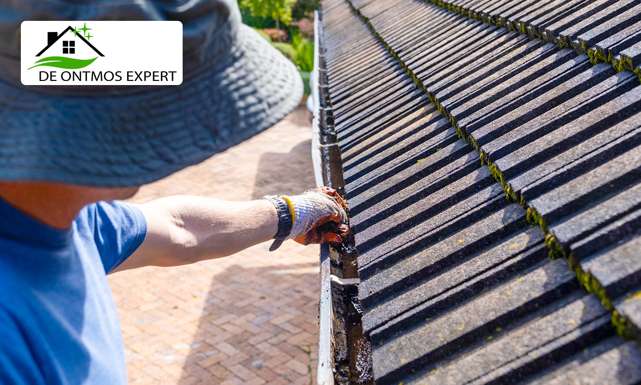 RM Cleaning - De Ontmos Expert