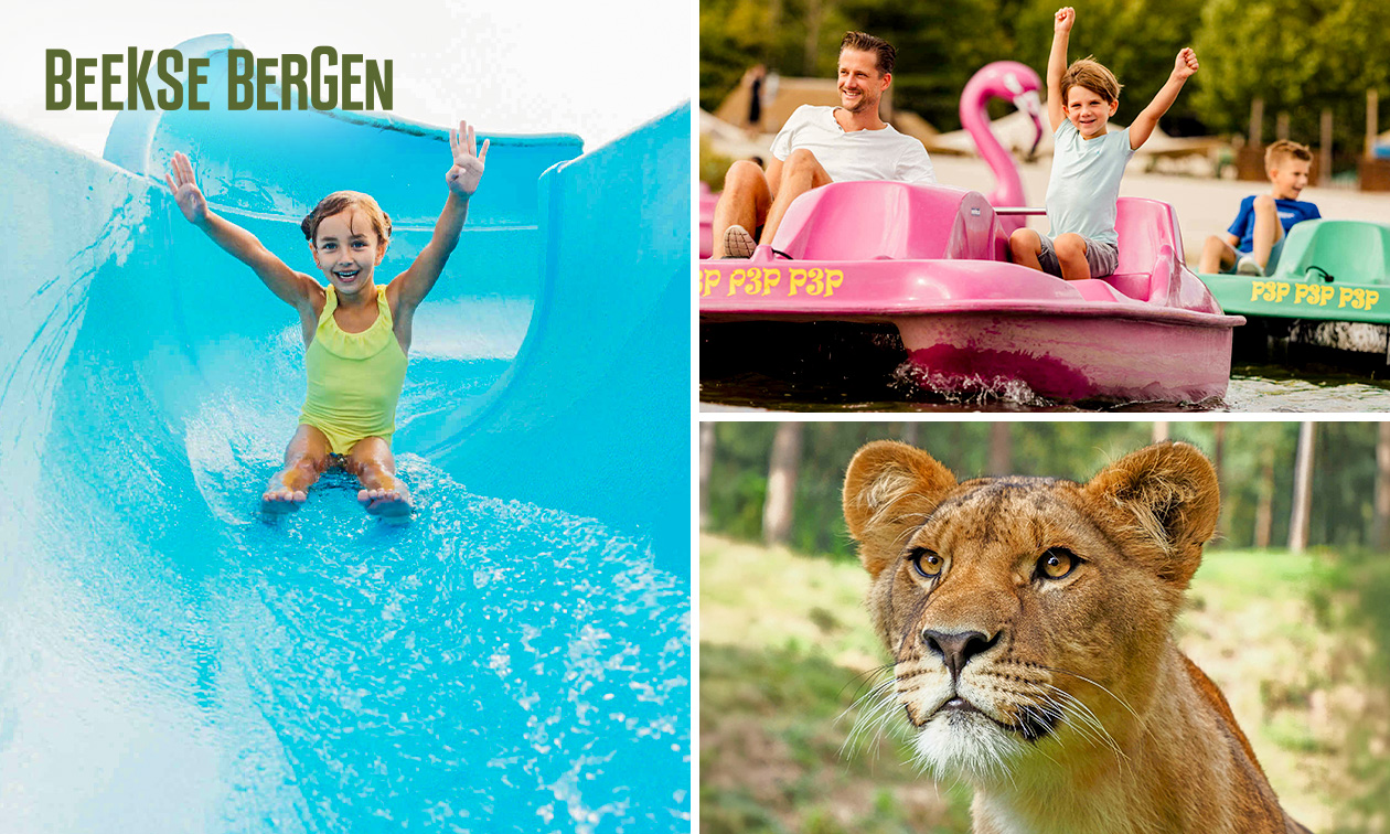 Safaripark + Speelland Beekse Bergen