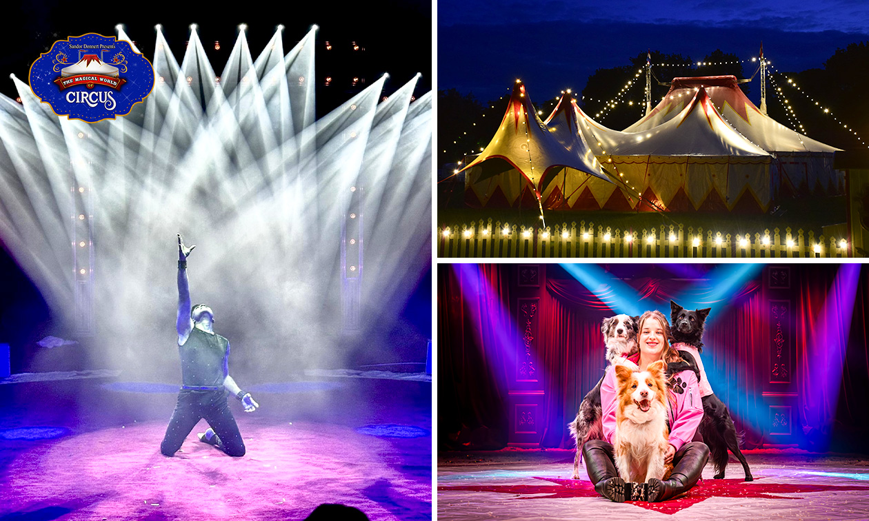 The Magical World of Circus