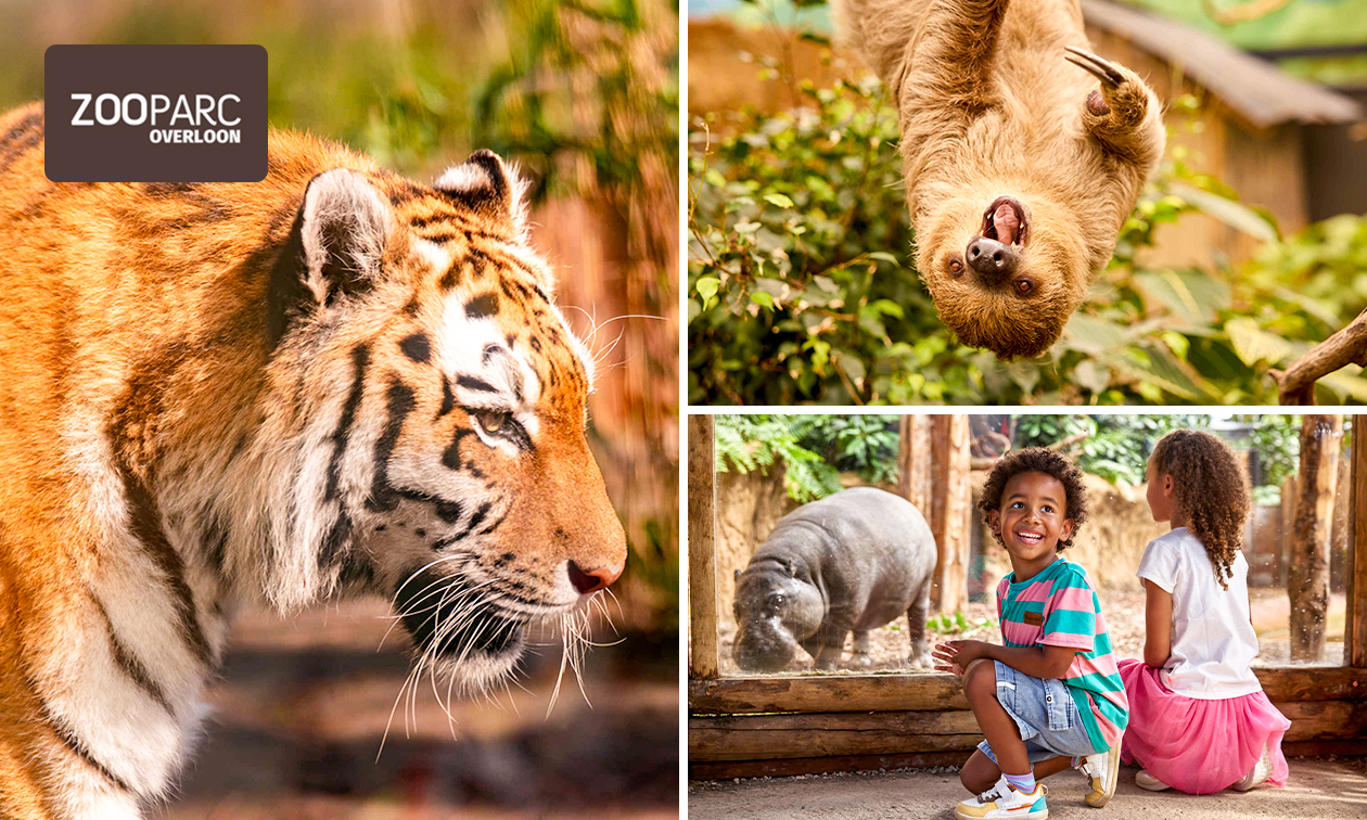 ZooParc Overloon