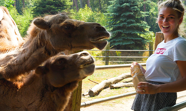 Natur- und Tierpark Brüggen