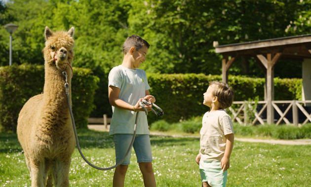 Vakantiepark Dierenbos